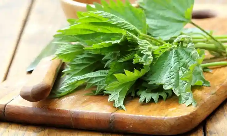 Which herbs are beneficial to arthritis?